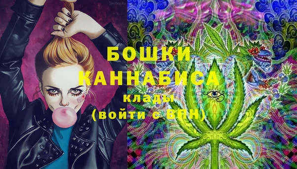 трава Арсеньев