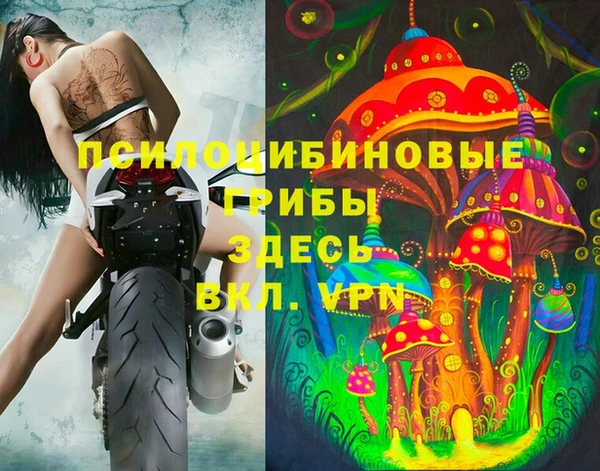 MESCALINE Аркадак