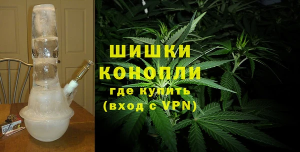 трава Арсеньев